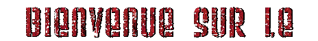 bienvenue_1.gif