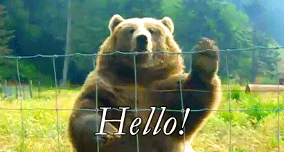 hello-gif2.gif